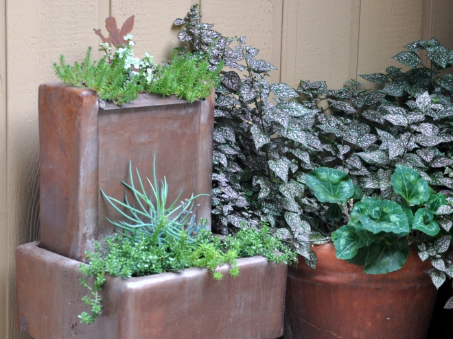 copper-planter-with-succulents-september-2016