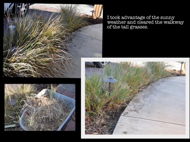 thinning-the-grass-on-the-walkway