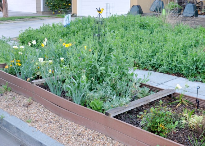 curb garden