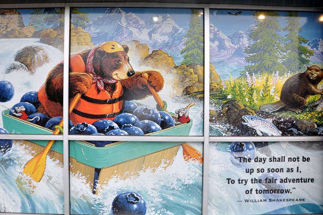 Celestial Seasonings gift shop window