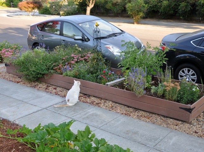 Mouse curb garden