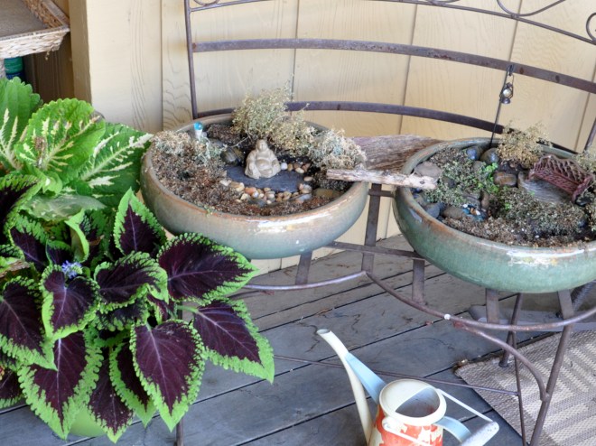 miniature peace garden fizzle