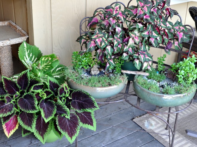 miniature peace garden