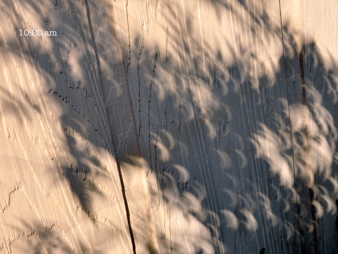 crescent shaped shadows eclipse