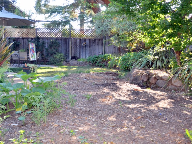 sheet mulched back garden