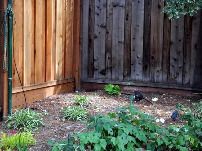 Tessa's future sandbox