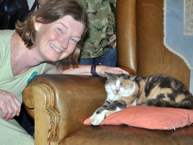 Pickles the cat, Hobbiton