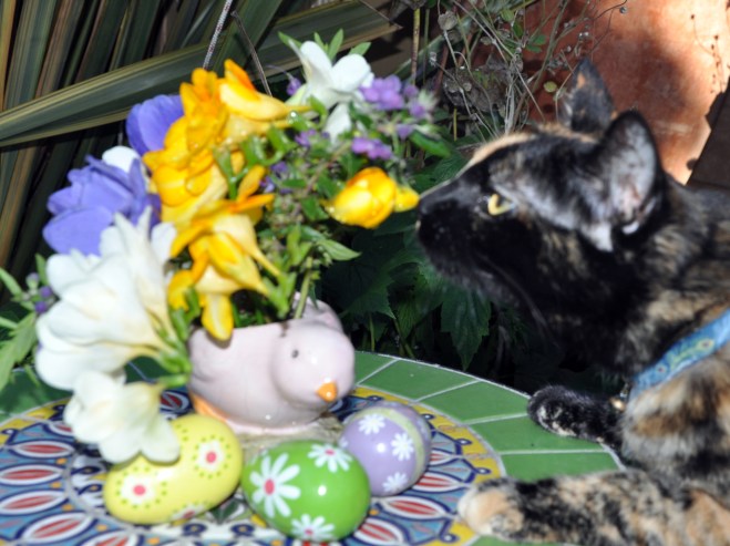 Tessa smelling flowers in a vase on Monday