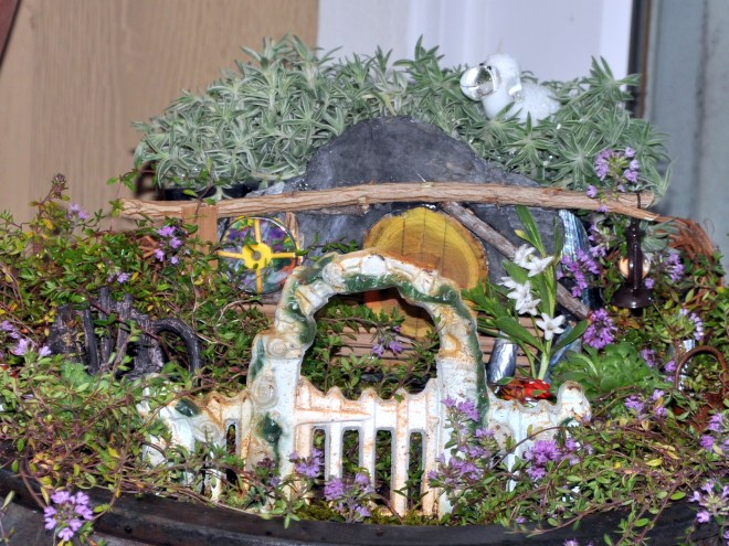 Miniature kiwi garden