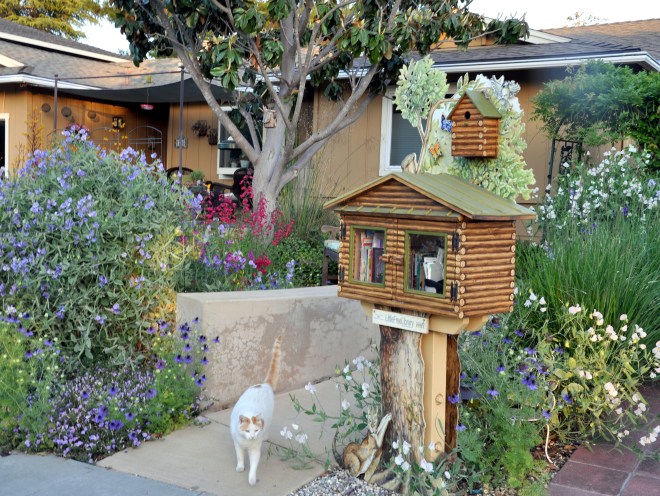 Sweet peas near Little Free Library sweet peas near Little Free Library