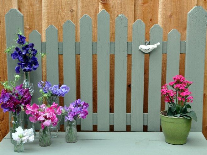 cut sweet peas in glass jars assorted sweet peas in glass jars
