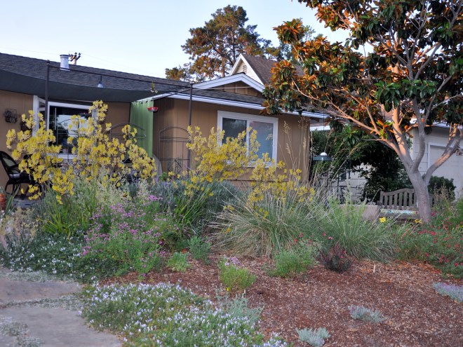 garden from of house