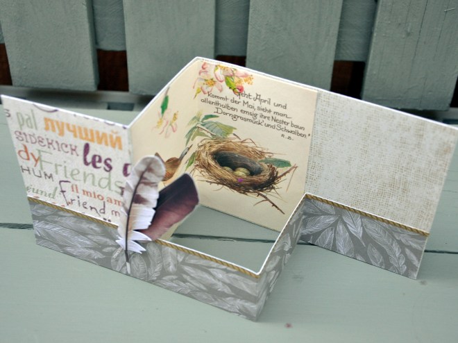 opened feathered z card