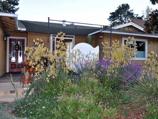 fall garden, pumpkins, ghost