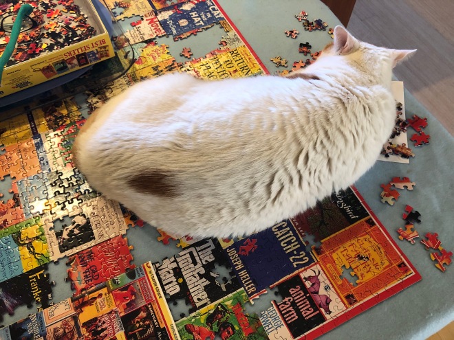 Mouse the cat on a jigsaw puzzle