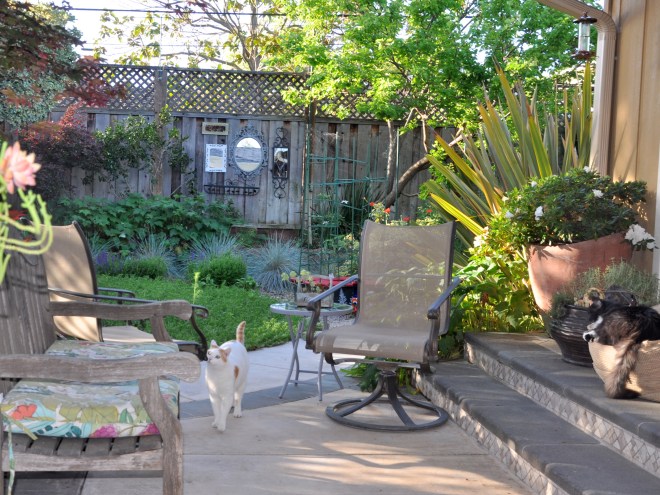 mirrors arranged on fence