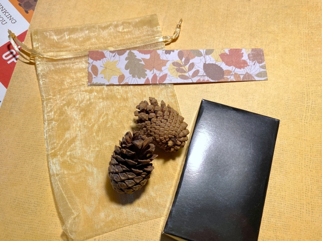 Gift bag and pine cones