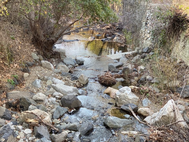 A serene stream flowing through rocky terrain, surrounded by trees and sparse vegetation.