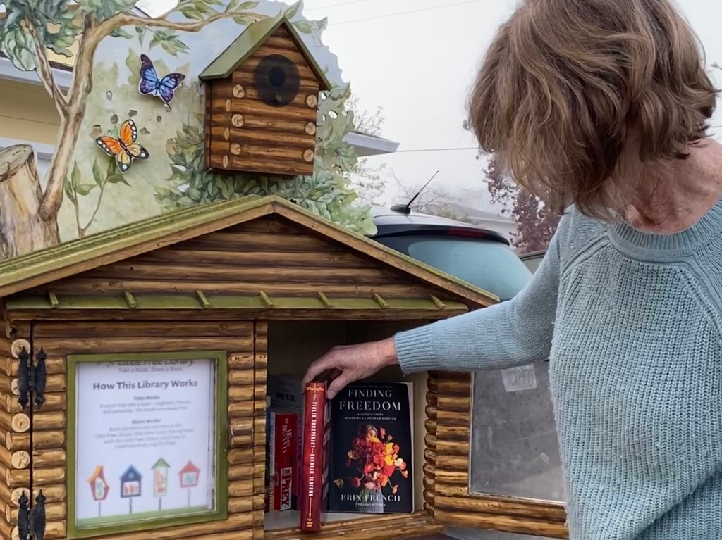 Little Free Library new book