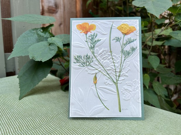 ScrapHappy for Flower&nbsp;Cards
