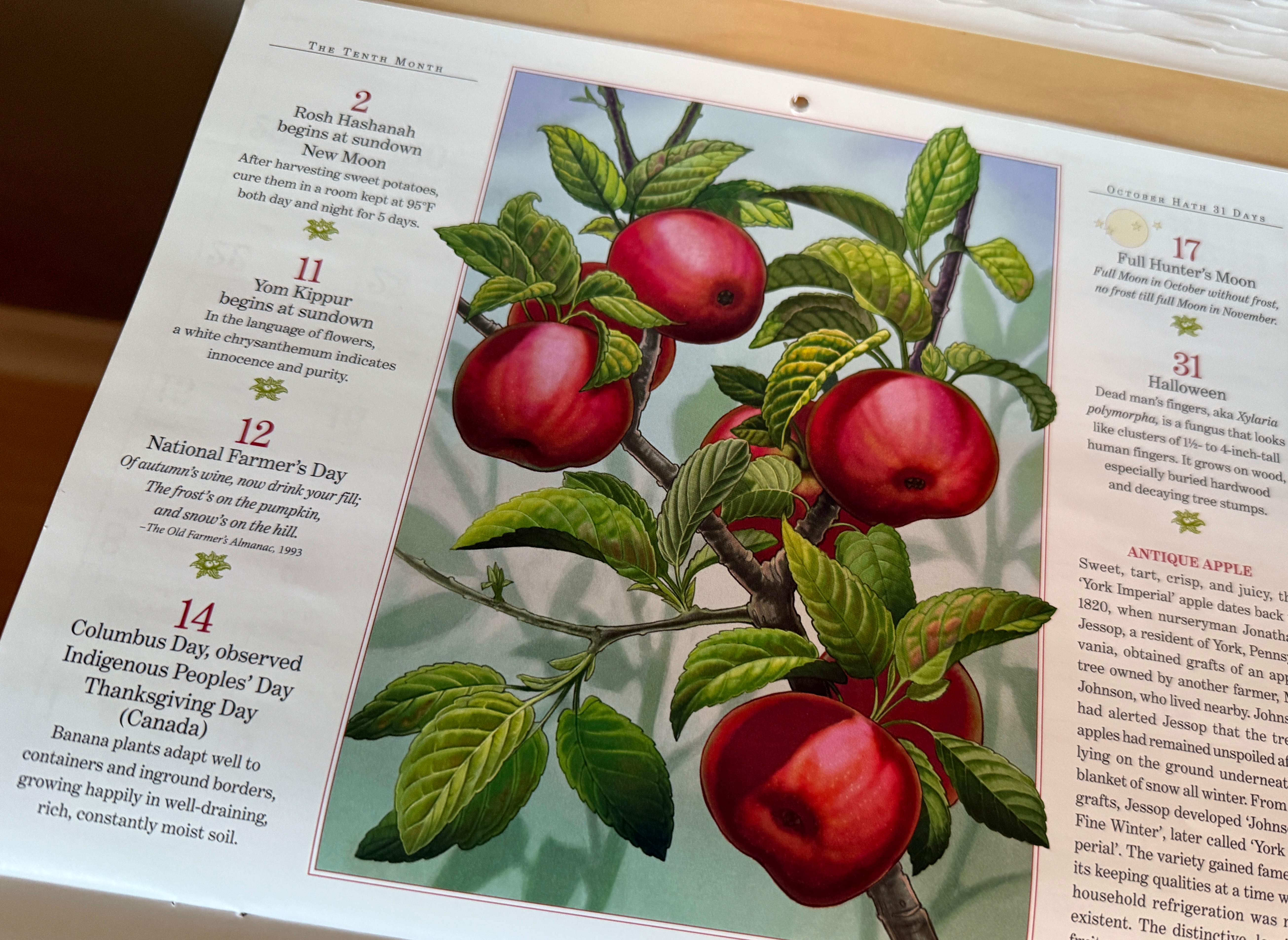 Old Farmer's Almanac art by Kristin Kest