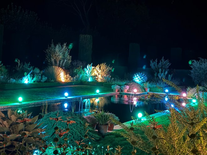 A beautifully illuminated garden at night, featuring colorful lights surrounding a reflecting pool and various plants.