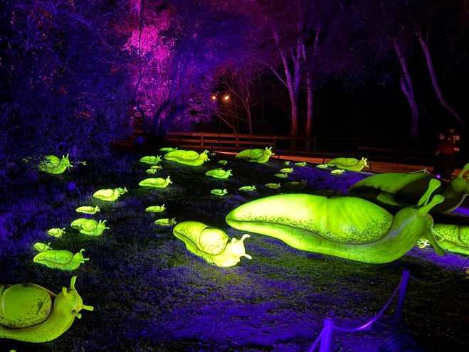 A nighttime view of a glowing art installation featuring numerous large banana slug sculptures illuminated in bright green, amidst purple lighting and trees in the background.