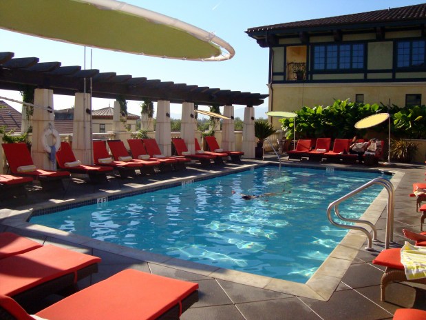 Not About the&nbsp;Garden