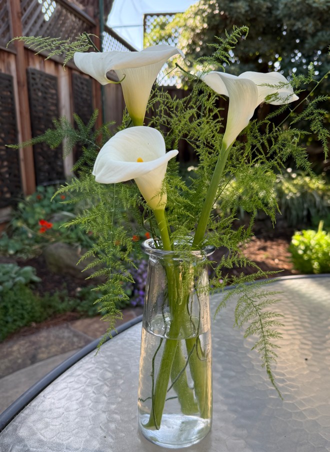 A clear vase holding three white calla lilies and green fern leaves, placed on a textured table outdoors.