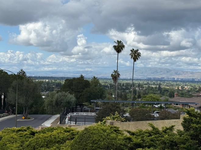 Scenic view of a suburban area with palm trees, greenery, and cloudy skies in the background.