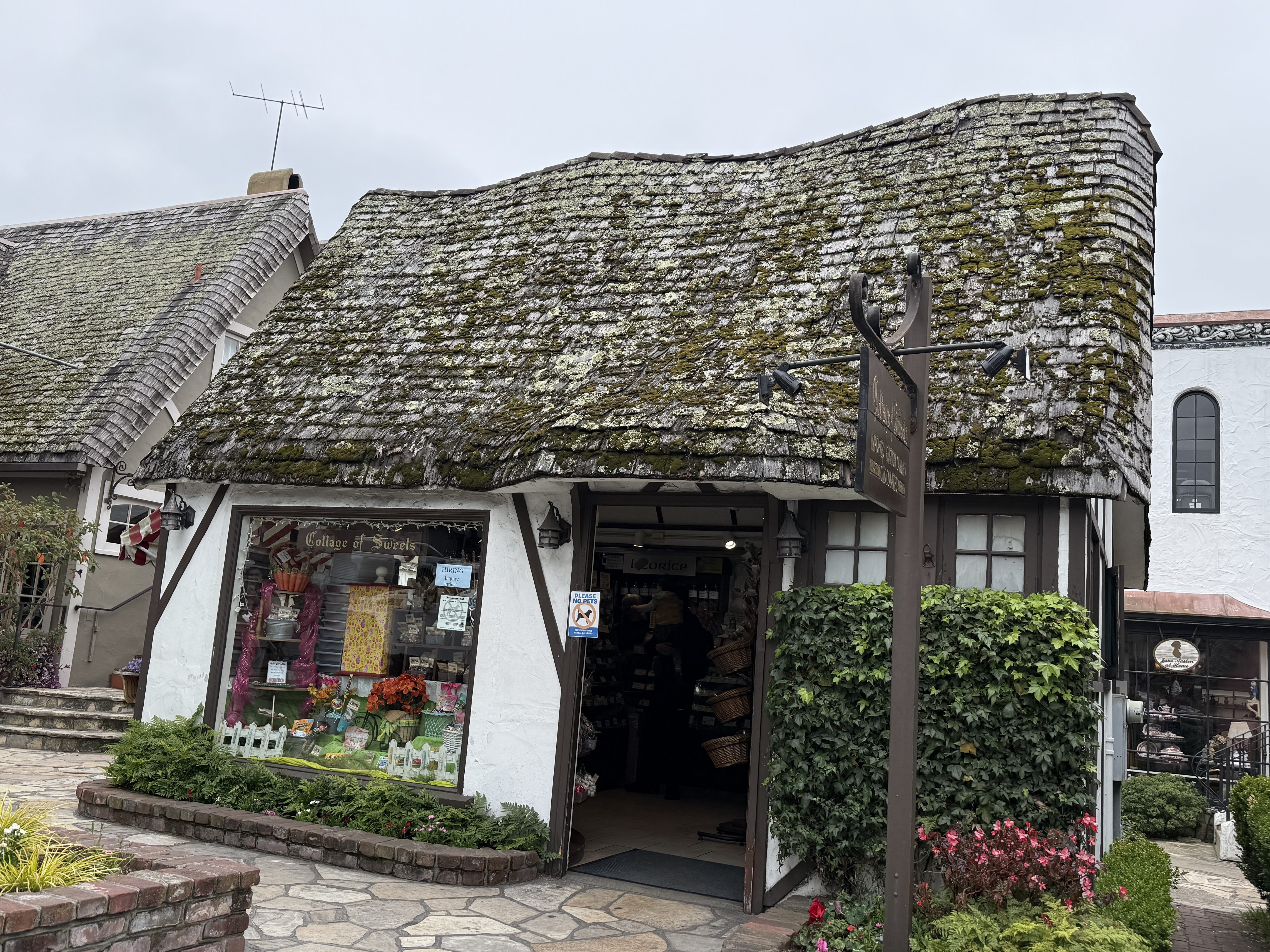 A quaint storefront with a moss-covered, thatched roof, featuring a window display filled with sweets and colorful flowers. The entrance shows a glimpse of a cozy interior, surrounded by greenery and stone pathways.