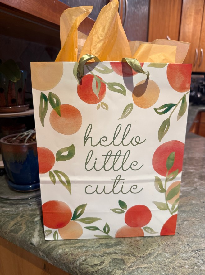 A gift bag decorated with colorful oranges and green leaves, featuring the text 'hello little cutie' on the front.