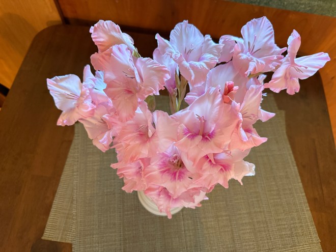 A top-view image of a bouquet of pink gladiolus flowers in a white vase, placed on a textured beige tablecloth.