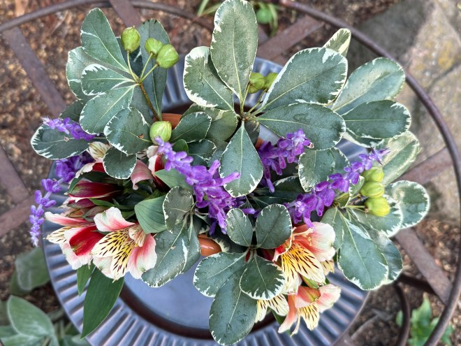 A colorful floral arrangement featuring pink and orange alstroemeria flowers, purple sage flowers, and variegated green leaves, placed on a round blue plate.